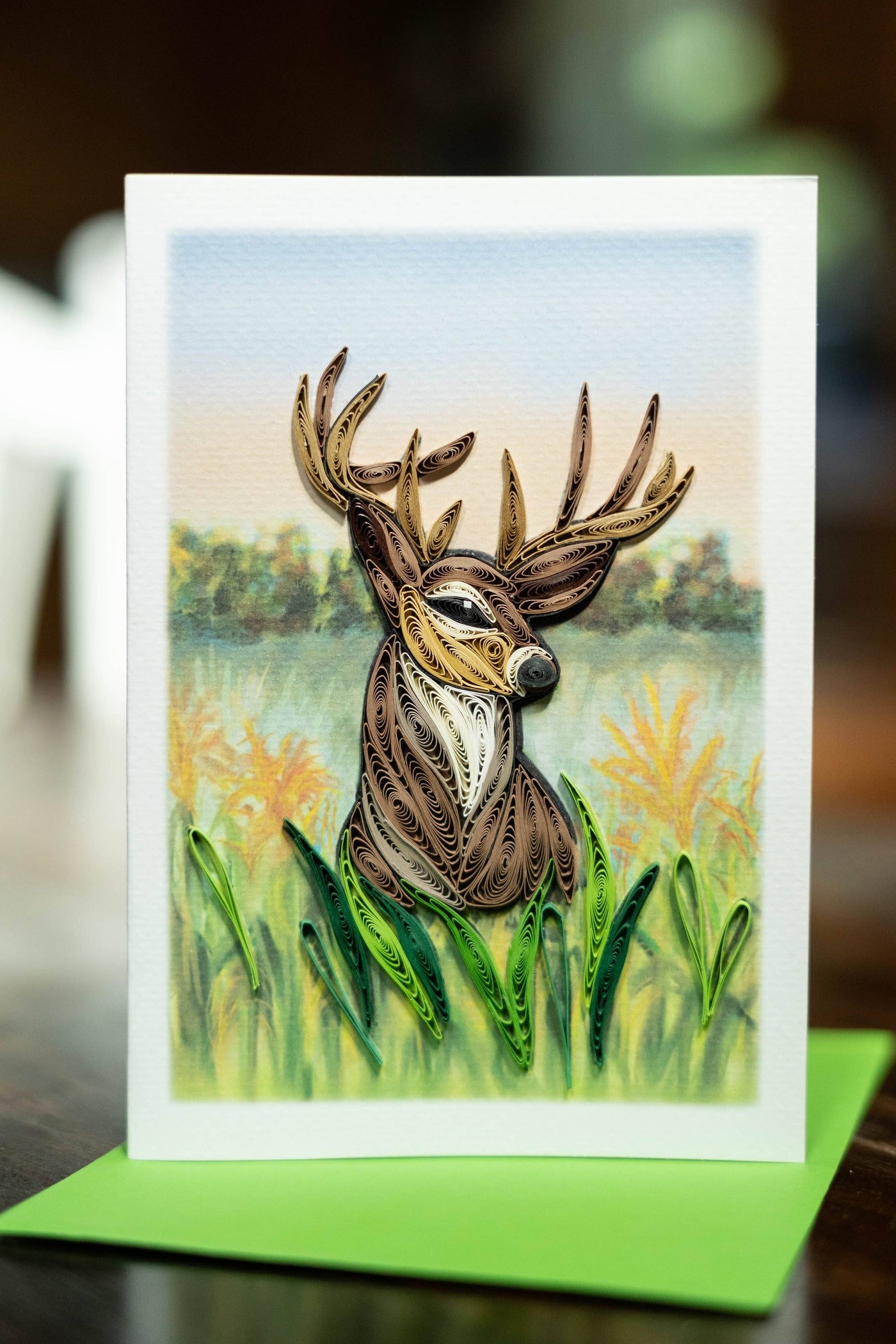 Whitetail Deer