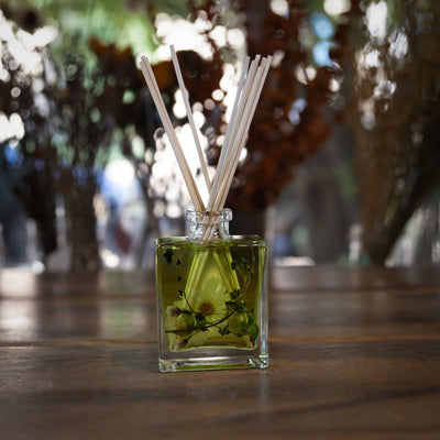 Apricot Rose 4 oz Botanical Diffuser