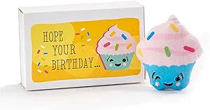 Cupcake Pocket Hug W/Gift Box