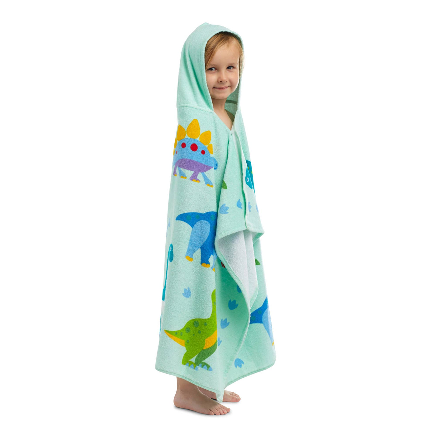 Dinosaur Land Beach Poncho