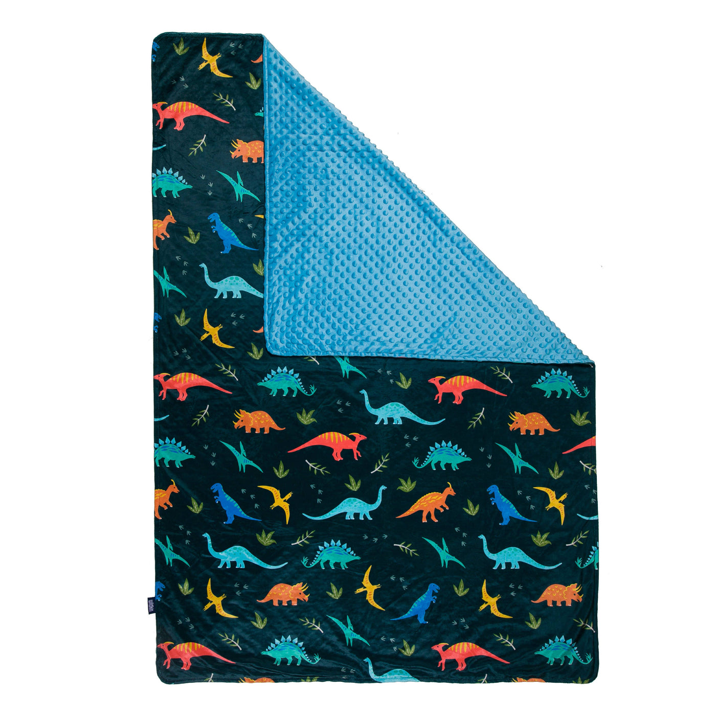 Jurassic Dinosaurs Plush Throw Blanket