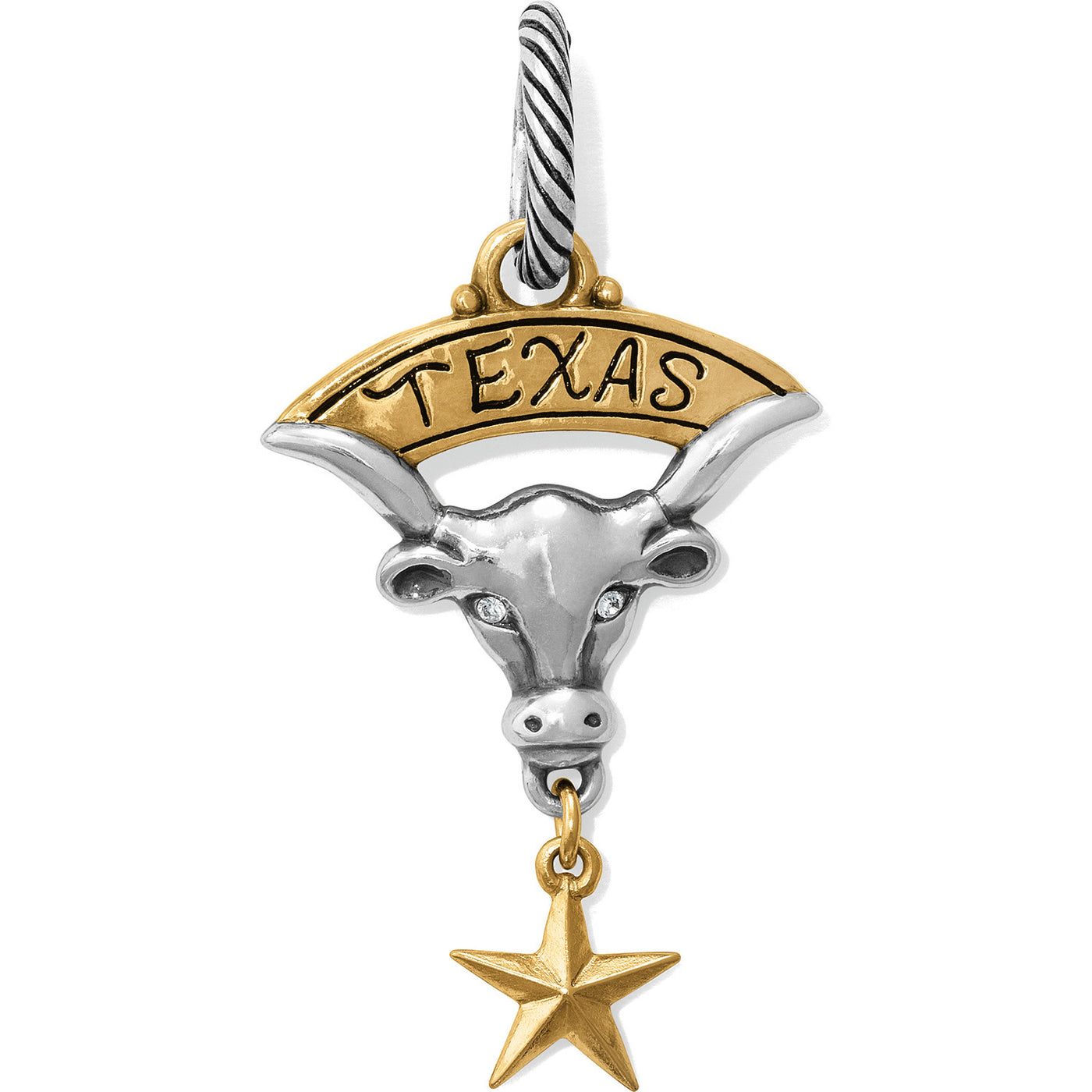 TEXAS LONGHORN CHARM