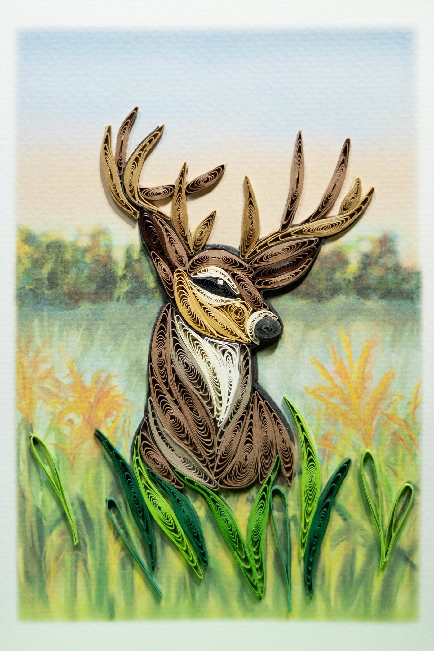 Whitetail Deer