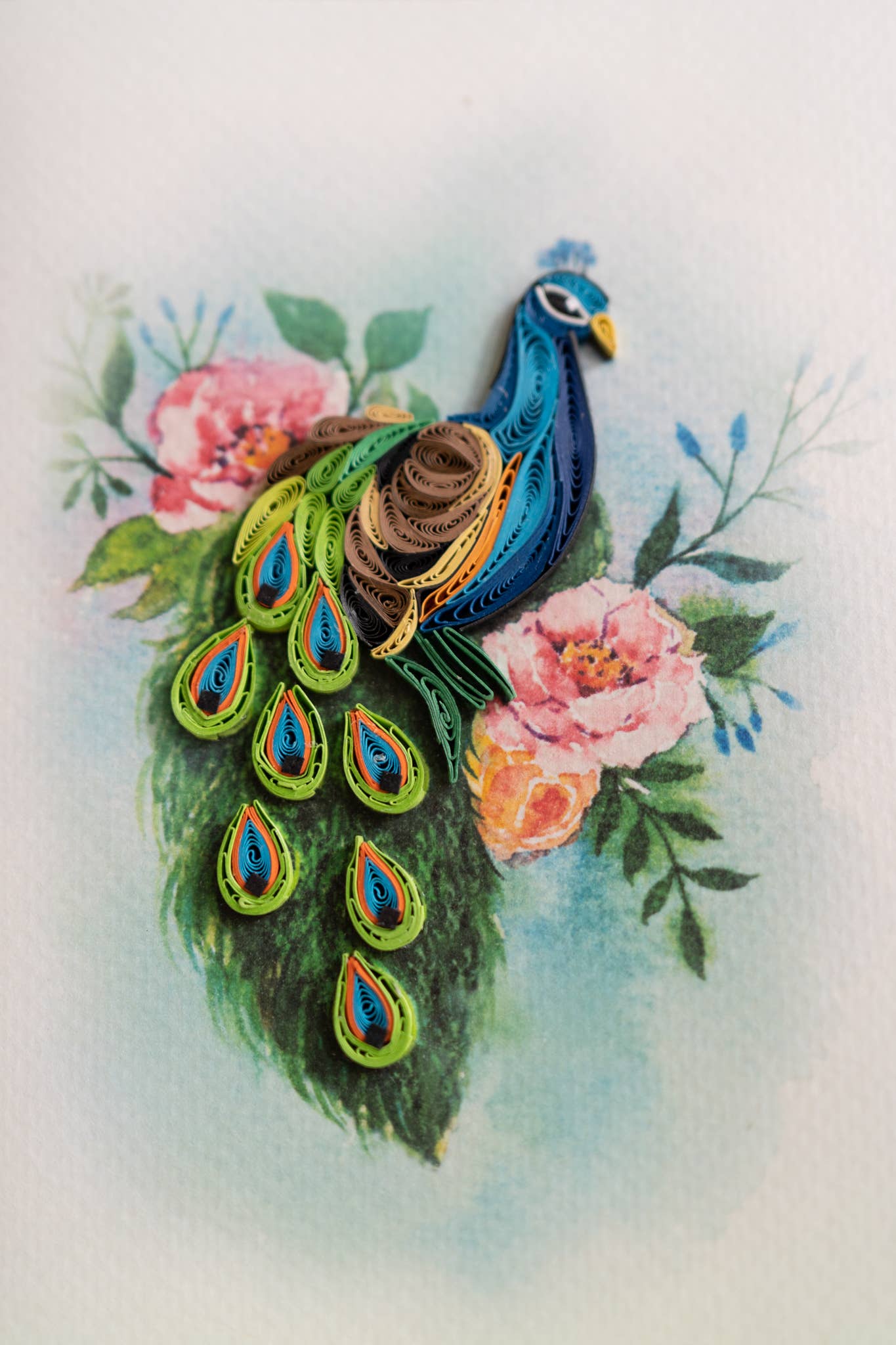 Pretty in Peacock