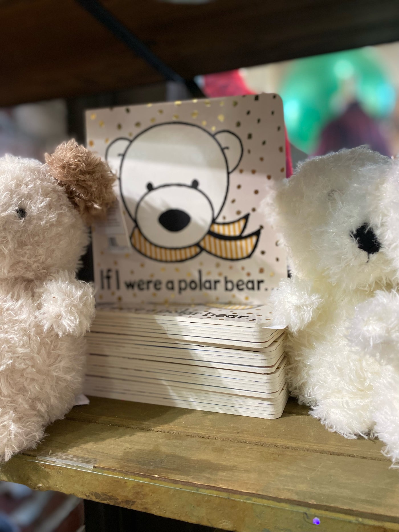 If I were a Polar Bear Book