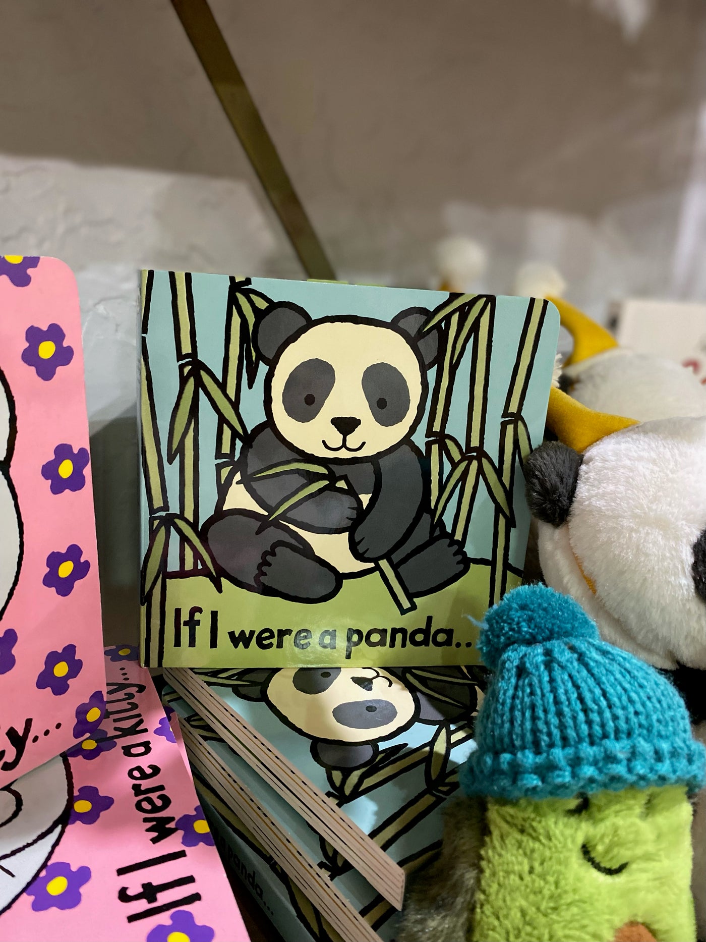 If I were a Panda- Book