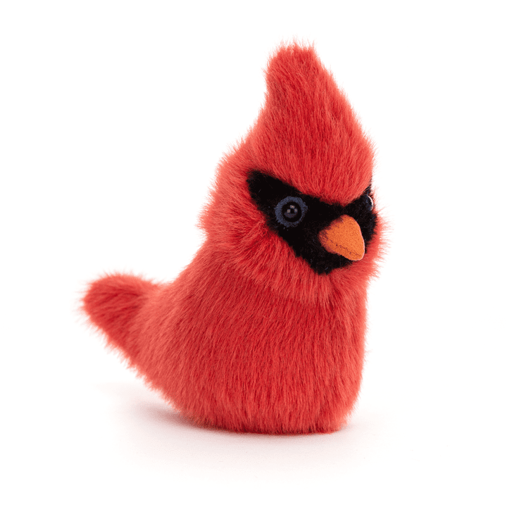Birding Cardinal